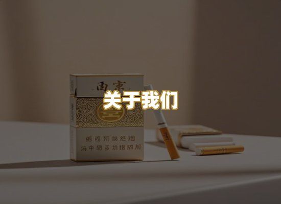 关于我们